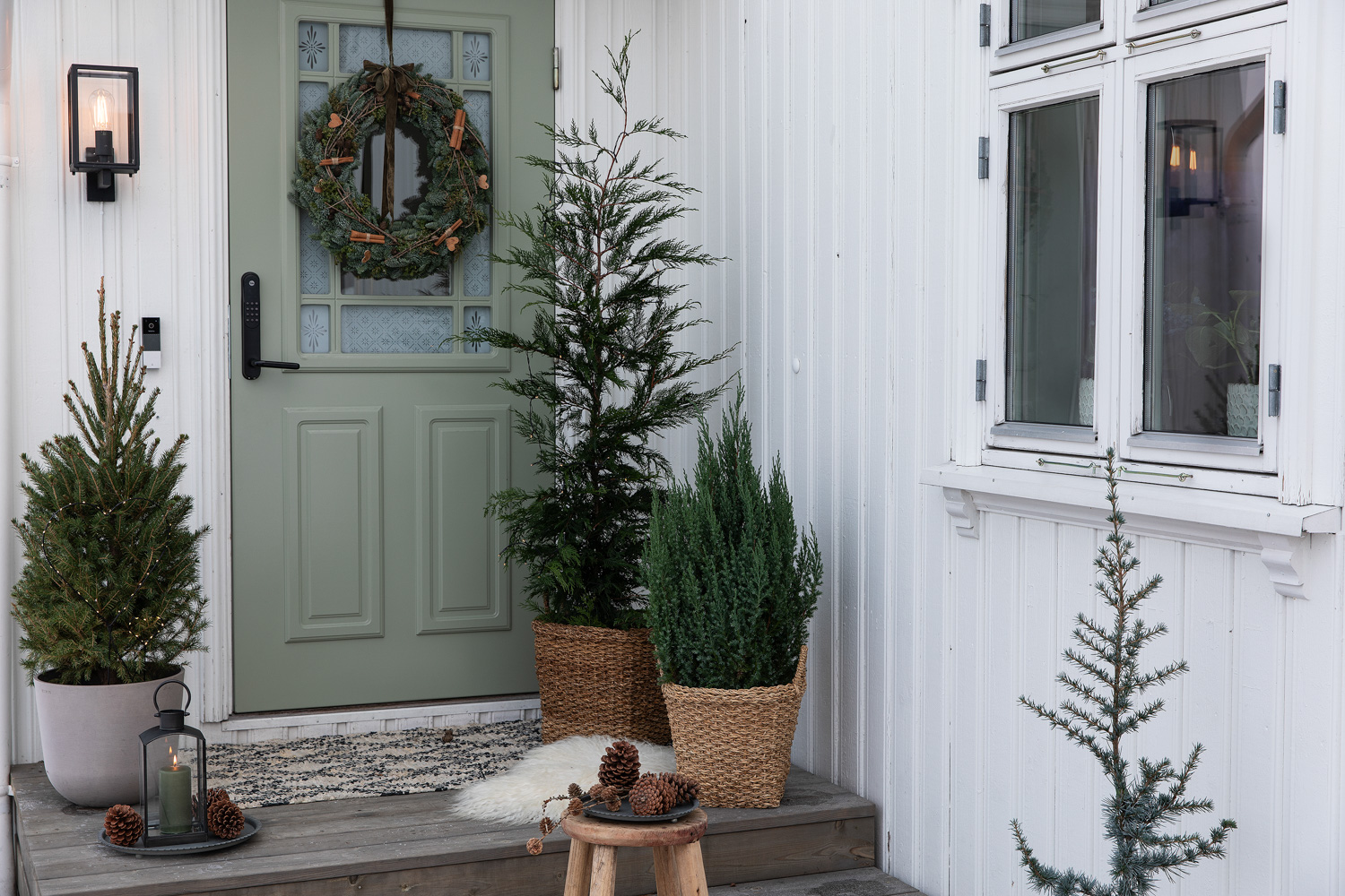 Pynt med vintergr&oslash;nne planter
